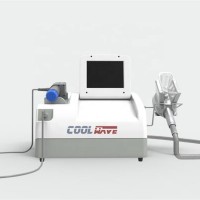 2019 Newest 2 in 1 Cryolipolysis and Shock Wave Fat Freezing physical therapy Machine